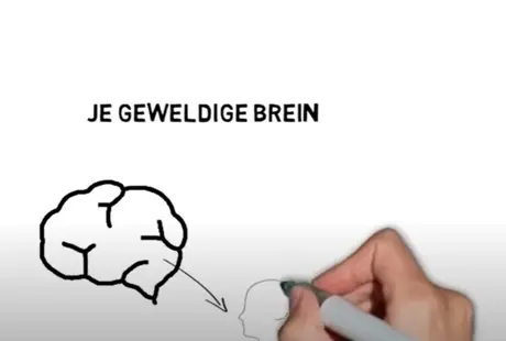 je geweldige brein;